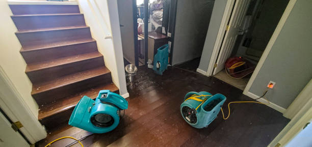 Best Flood damage cleanup  in Springville, IA