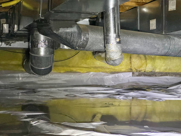 Best Water damage restoration near me  in Springville, IA