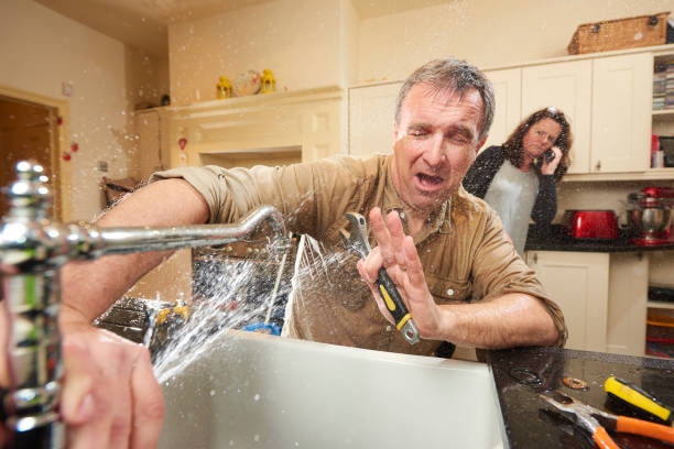 Best Carpet water damage restoration  in Springville, IA